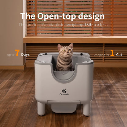 Elevate Automatic Cat Litter Box
